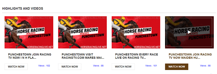 watch-horse-racing-on-horseracinglive.net