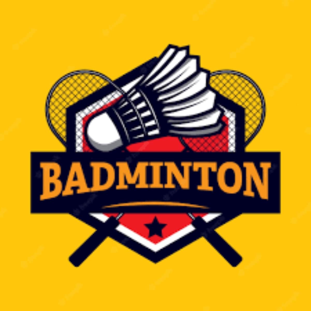 How to Watch Badminton in Ireland [Live + Free Stream 2024]