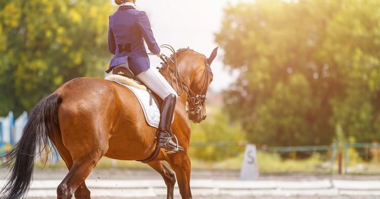 watch-equestrian-on-mobile-9