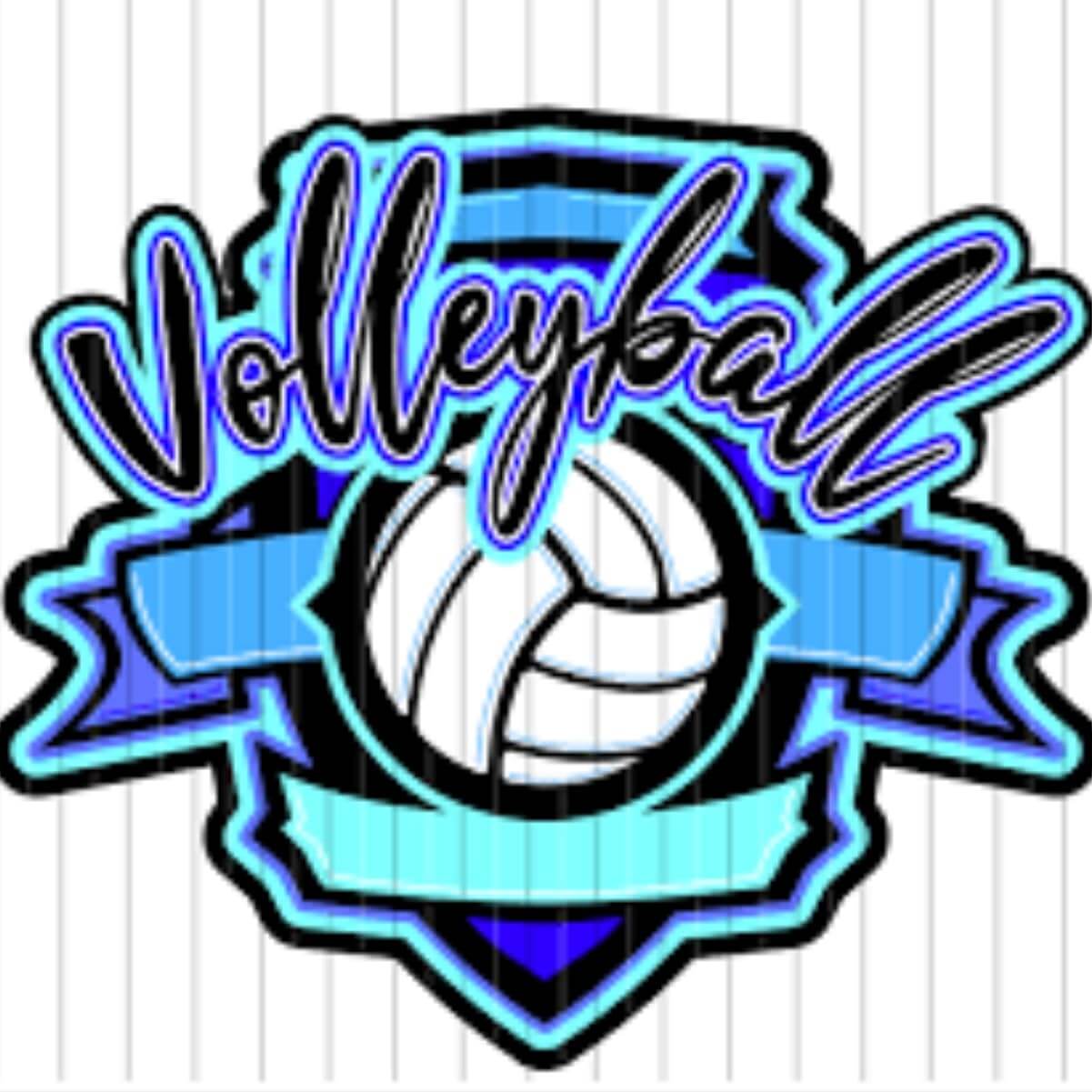 How to Watch Volleyball in Ireland [Live & Free Stream 2024]
