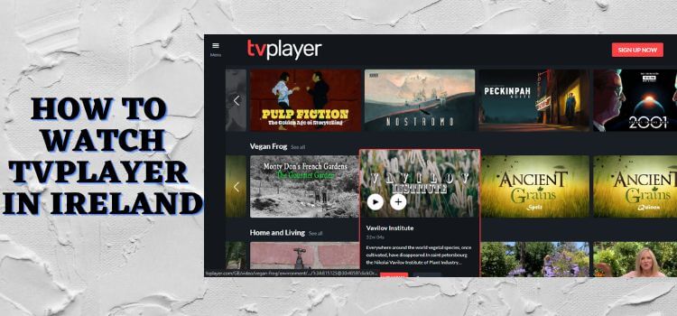 how-to-watch-tvplayer-in-ireland