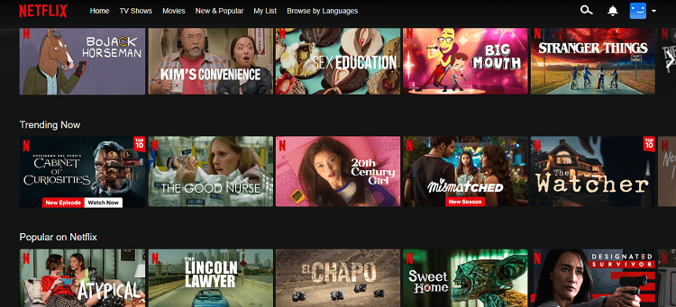 watch-us-channels-on-netflix