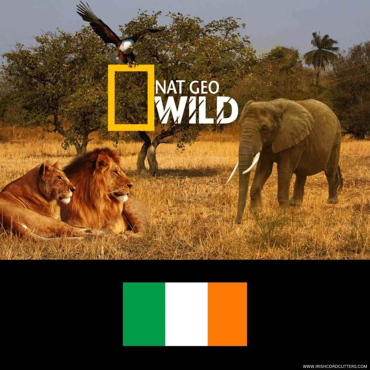 How to Watch Nat Geo Wild in Ireland [Without Cable | 2025]