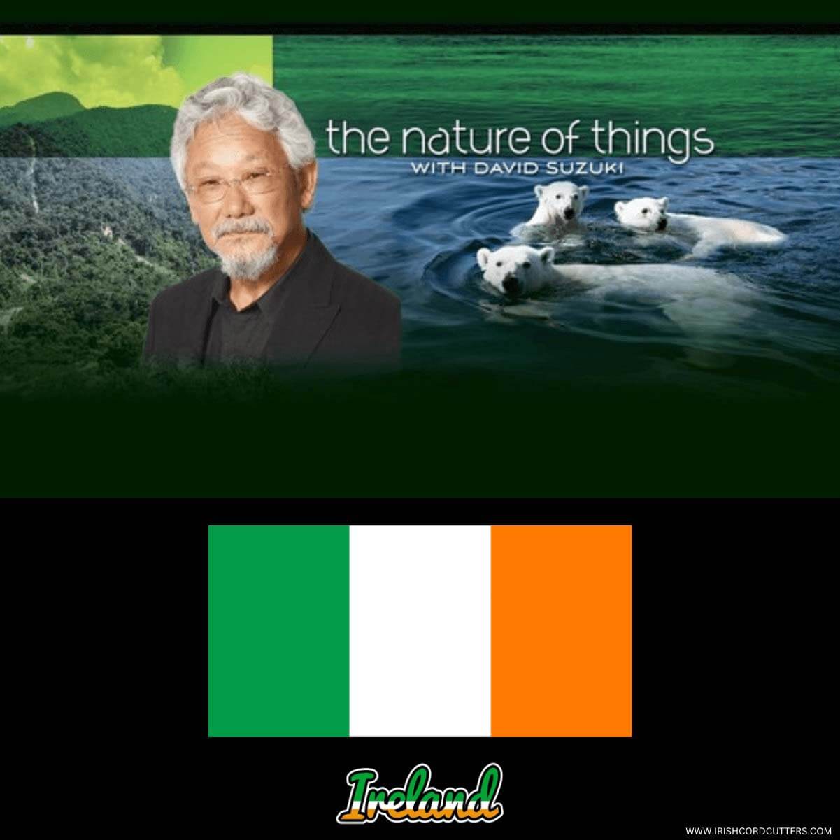 How to Watch The Nature of Things in Ireland for Free [2024]