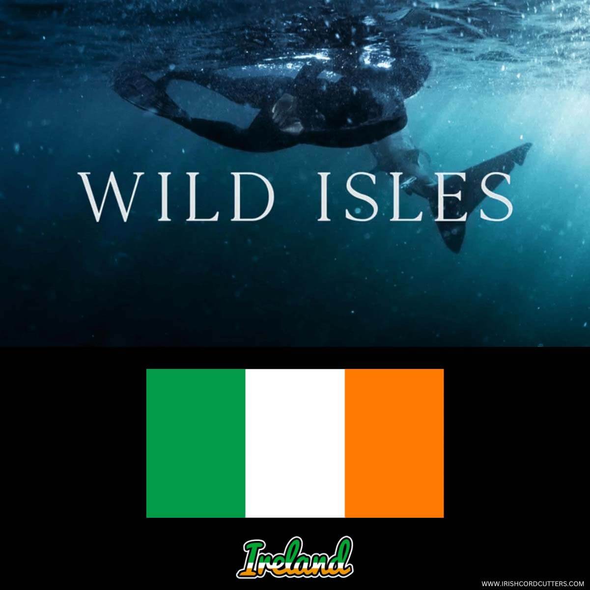 How to Watch Wild Isles in Ireland for Free [2024]