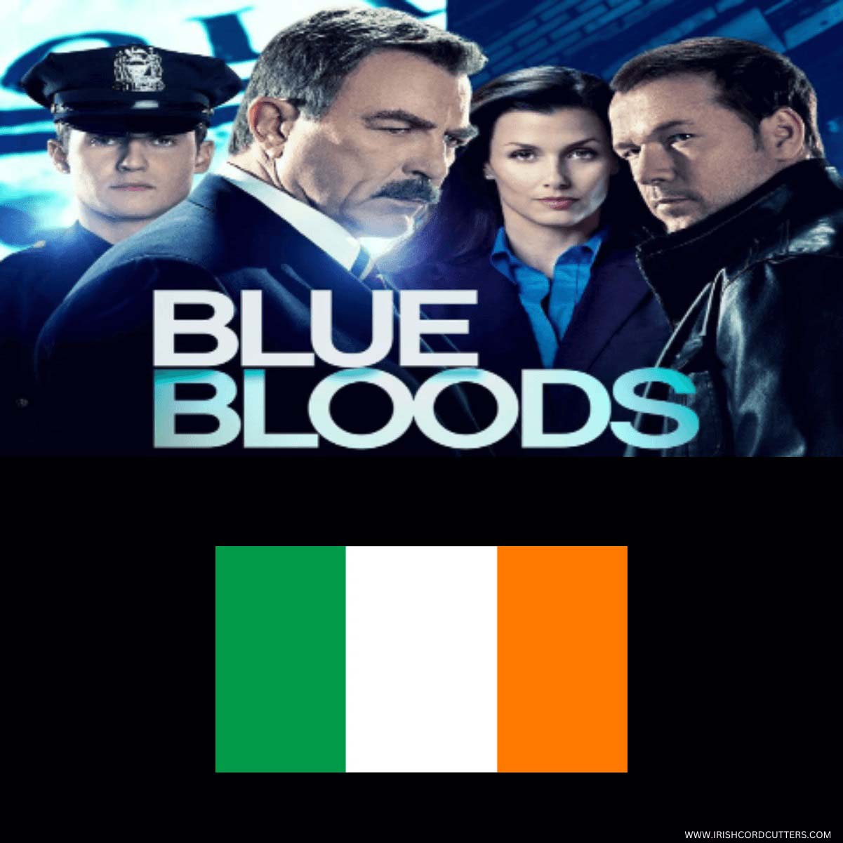 How to Watch Blue Bloods in Ireland [All Seasons 2024]