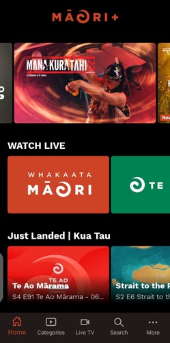 watch-maori-plus-in-ireland-mobile-5