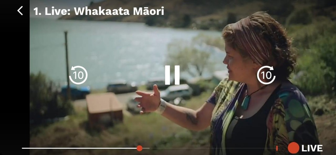 watch-maori-plus-in-ireland-mobile-7