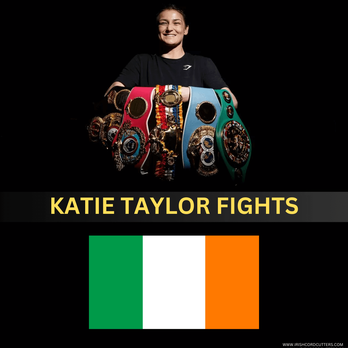 How to Watch Katie Taylor Fights in Ireland [Free & Live | 2024]