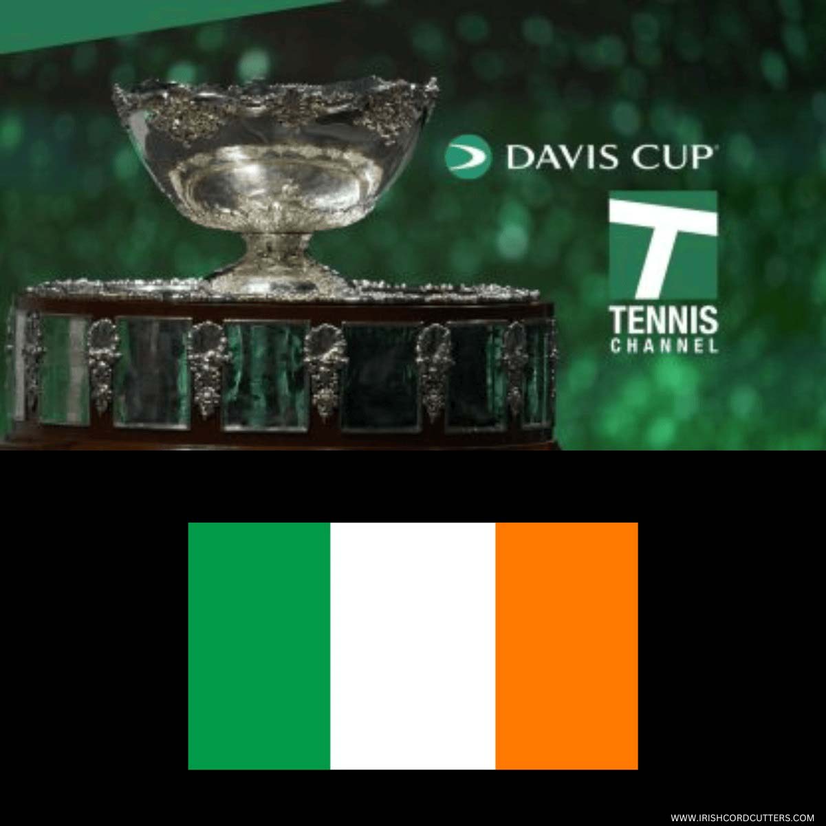 How to Watch Davis Cup in Ireland for Free [2024]