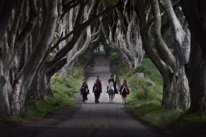 the-dark-hedges-game-of-thrones