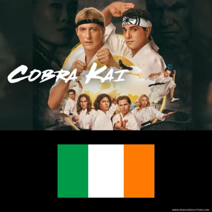 HOW-TO-WATCH-COBRA-KAI-IN-IRELAND WATCH-COBRA-KAI-IN-IRELAND