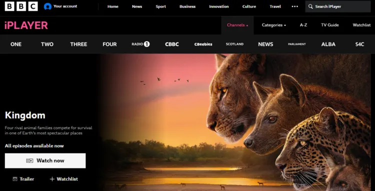 watch-european-rugby-champions-cup-in-ireland-12