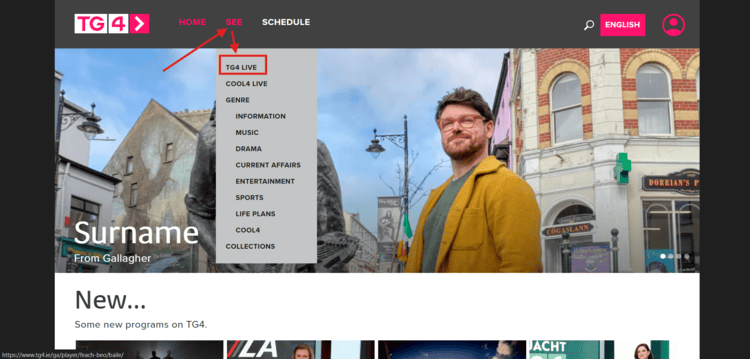 watch-tour-de-france-in-Ireland-TG4-01