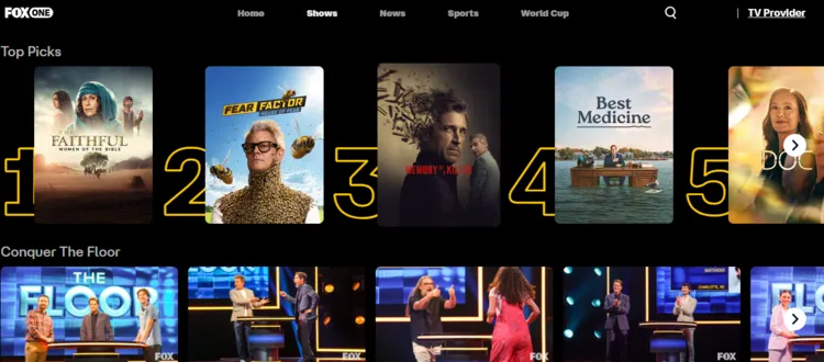 watch-master-chef-us-in-ireland-9